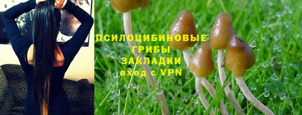 a pvp Алексеевка